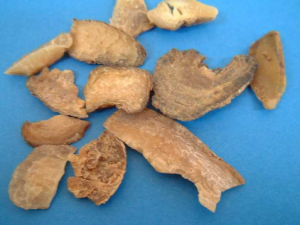 ţ�������������� ţ������������÷�