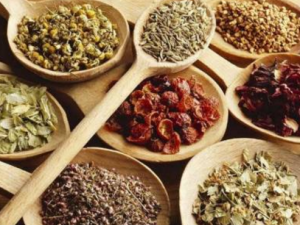 ��Ы����������� ��Ы�������Ĺ�Ч