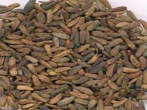 ��ճ�ӽⶾ������� ��ճ�ӽⶾ��������