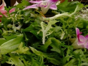 ���Ĳ���ô���� �����ѡ���Ĳ�