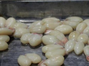 ī�㵰��Ӫ����ֵ ī�㵰��ô��ϴ