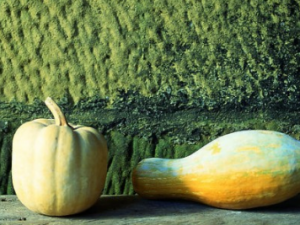 �����ӵ��ճ���ʳ �������ڼ�Ҫע��ʲô����