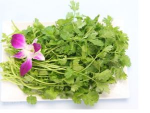 ��ð�ڼ�����ЩҪע��� ��ð�ڼ����ʳ����