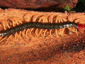 ���ݸ��Ĺ�Ч ���ݸ��Ĺ�������