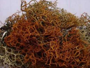 �ֹ�ҩ�Ĺ�Ч �ֹ�ҩ�Ĺ���