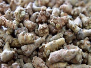 ţ����������Щ���� ţ�����ߵĹ�Ч