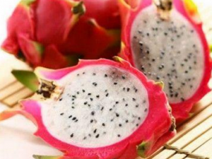 ������ʳ������ЧԤ������ ���ز�����ԭ��