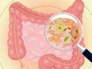 �߷ֱ���������ʲô�о� �Ե�̫�����š���10�ֲ�