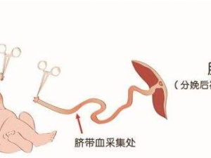 ���Ѫ����Щ���� ���Ѫ������ΰ�Ѫ����