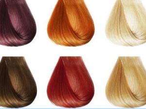 ͷ��������9��С���� һ��ѧ����