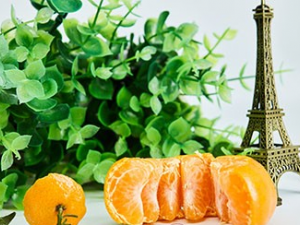 �и������ӵĺô� ���ӵ�ʳ�ý���