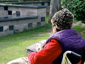 ��ػƵĹ�Ч���� ��ػ�����Щ����