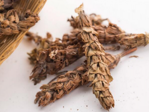 �Ŀݲ�����Щ��Ч �Ŀݲ���ô�Ը�����