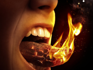 ��Щ����������ϻ� �ϻ�Ӧ���Ԥ��