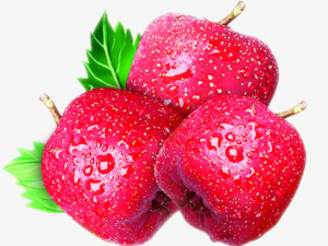 ɽ髵�����������Щ���� ɽ髵Ĺ�Ч����