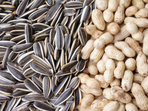 ���������������� �Ի������ӵĽ���