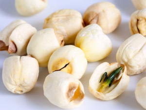 ��������Щ��Ч ���Ӹ����ķ�ʧ��θ�ڲ�