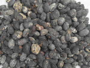 �ķ�����Ӧ��λ��� �ķ����Ƶ����Ʒ���