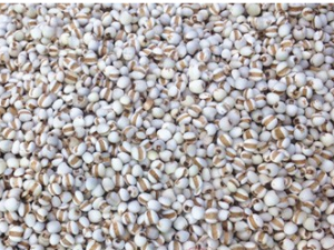 �Դ����������彡�� ��Щ�˲��˳Դ���