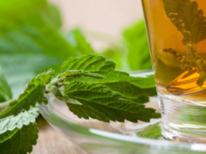 �����һ���� ��֪����