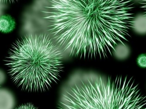 �ѹ�Ӣ�β��ķ��� �ѹ�Ӣ�β������ƫ��