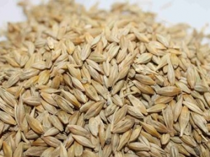 ʳ�ܰ���֢״ ʳ�ܰ�������ƫ��