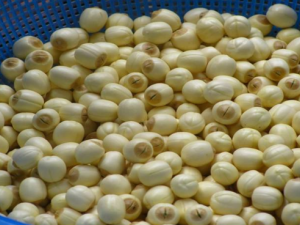 ���ɵ�����������ܳ��� ���ɵ�������������޻�������