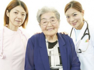 ���õ���ҩ������Щ ɽҩ����Щ����