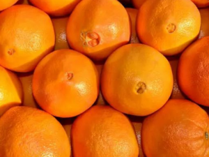 Ů�Ծ����Գ�����ʲô��Ч ��������Щ����