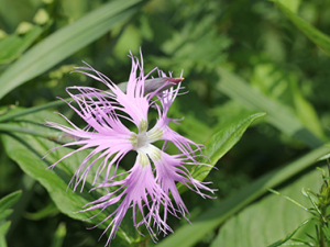 ��Ӳ����ˮӦ������� ��Ӳ����ˮ������ƫ��