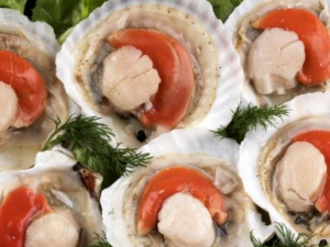 ʹܳԺ Ϊʲôơƻᵼʹ