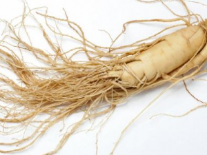 �˲κ�����εı������� �˲κ�����ε�������Ⱥ