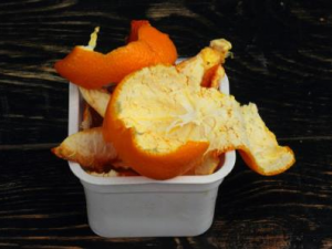 ���ȥʪ���ź� ʪ���صĵ�������