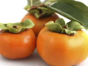 ���Ӳ��ܺ�ʲôͬ�� �����ӵ�ע������