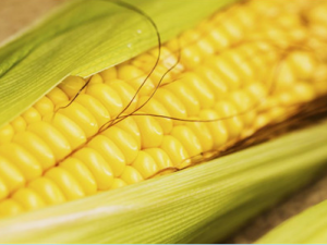 ���ʴ����ٶ��ܳ��� �Դ���ʱ����Щ������