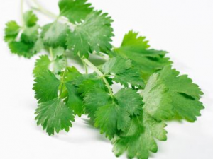 ����˵ĺô� ��˵�Ӫ����ֵ