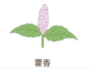 ���Ը��׵����Ʒ��� ��ҽ������������Ը��׵�