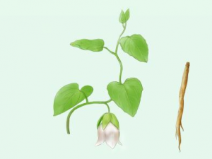 ��ѪѹӦ������� ���Ƶ�Ѫѹ��ƫ��