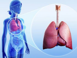 ��ЩѨλ���������� С����㻤��С����