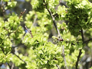 �ճ����εķ�������Щ �����������־�