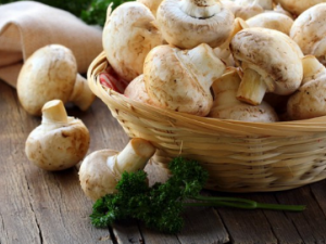 ʹ�����ܳ�ʲô ����ʹ����Сƫ��