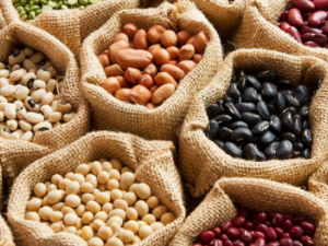 ��ȳ�Ĺ�Ч���� ��ȳ��ҩ�ü�ֵ