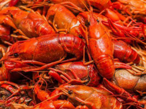 ��Ϻ�ĺô�����Щ �и��ܳ�С��Ϻ��