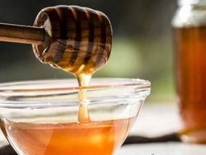 ���ֻ��ߵ���ʳ���� ���ֻ��߲��ܳ�ʲô