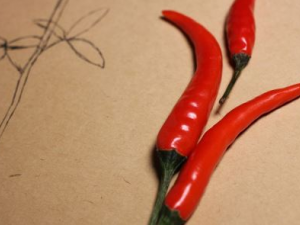 ��Щ���ǲ��ܳ������� ����������ܹ�������