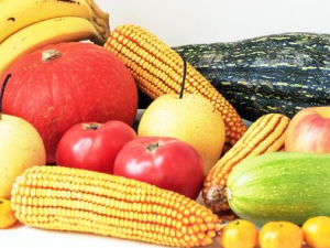 �¾����ٵĵ���ʳ�Ʒ� �¾�������ʲôԭ��