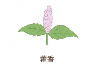 ��Ӳ����ˮ�����Ʒ��� ���Ƹ�Ӳ����ˮ��ƫ��