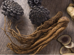 �ļ�������ʳ�� �ļ��ʺϳ�������빽