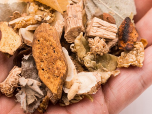 ��ͷ�ݵĹ�Ч���� ��ͷ�ݵ�ҩ�ü�ֵ