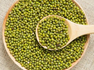 ���ϳ��ߺ�����ע����ʳ ���ϳ��ߺ����ʳ����